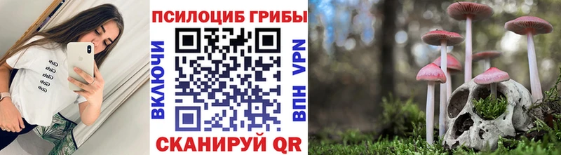 Псилоцибиновые грибы мицелий хочу Кедровый