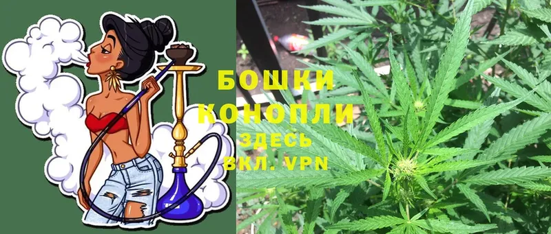 Шишки марихуана Ganja  Кедровый 